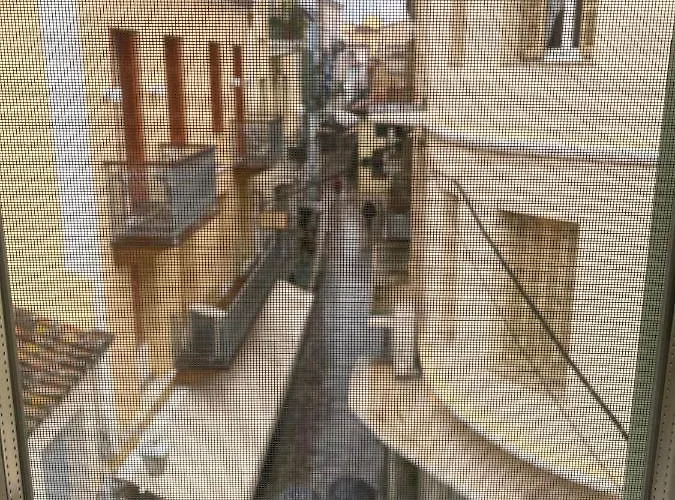 Isabo